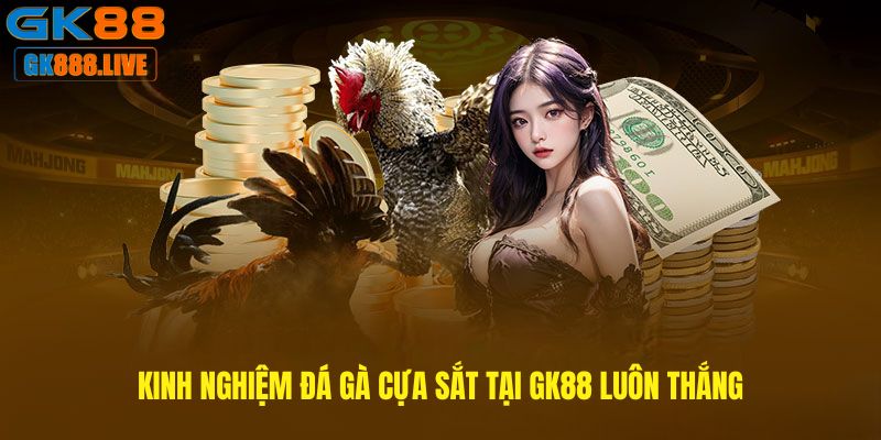 Kinh nghiệm Đá gà cựa sắt tại GK88 luôn thắng Kinh nghiệm Đá gà cựa sắt tại GK88 luôn thắng